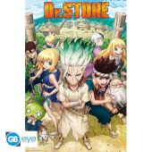 DR STONE - Poster Maxi 91.5x61 - Groupe