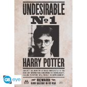 HARRY POTTER - Poster Maxi 91.5x61 - Undesirable n°1