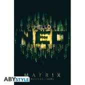THE MATRIX - Poster Maxi 91.5x61 - Hello Neo*
