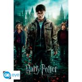 HARRY POTTER - Poster Maxi 91.5x61 - Deathly Hallows*