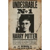 HARRY POTTER - Poster Maxi 91.5x61 - Undesirable No 1*