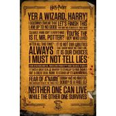 HARRY POTTER - Poster Maxi 91.5x61 - Quotes*