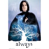 HARRY POTTER - Poster Maxi 91.5x61 - Snape Always*