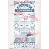 HARRY POTTER - Poster Maxi 91.5x61 - Quidditch at Hogwarts*