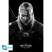 THE WITCHER - Poster Maxi 91.5x61 - Toxicity Poisoning*