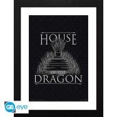 HOUSE OF THE DRAGON - Framed print 