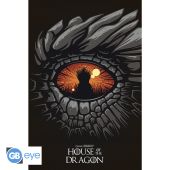 HOUSE OF THE DRAGON - Poster Maxi 91.5x61 - Dragon*