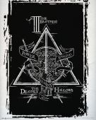 HARRY POTTER - Poster Deathly Hallows Graphic (50x40)*