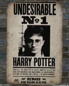 HARRY POTTER - Poster Undesirable No 1 (50x40)*