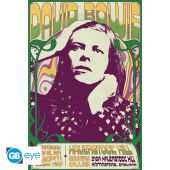 DAVID BOWIE - Poster Maxi 91.5x61 - Haverstock Hill