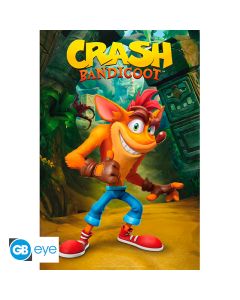 CRASH BANDICOOT - Poster Maxi 91.5x61 - Classic Crash