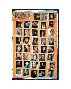 HARRY POTTER - Poster Maxi 91.5x61 Characters*