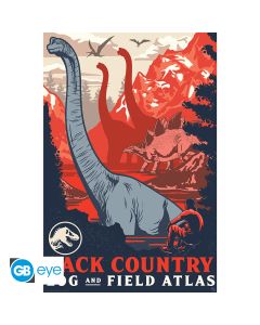 JURASSIC WORLD - Poster Maxi 91.5x61 - Back Country