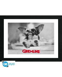 GREMLINS - Framed Print Gizmo (30x40) x2