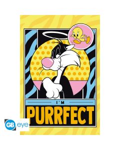 LOONEY TUNES - Poster Maxi 91.5x61 - Titi & Grominetroule filme