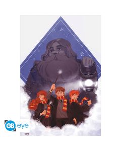 HARRY POTTER - Poster - Warner 100th - Hagrid (91.5x61)