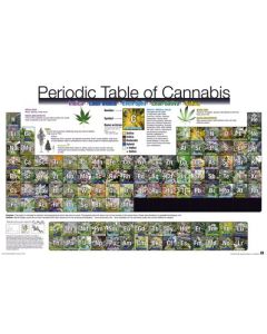 PERIODIC TABLE - Poster Of Cannabis (91.5x61)*