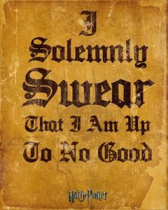HARRY POTTER - Poster I Solemnly Swear (50x40)*