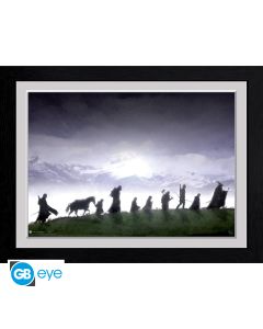 LORD OF THE RINGS - Framed Print - Fellowship (30x40) x2
